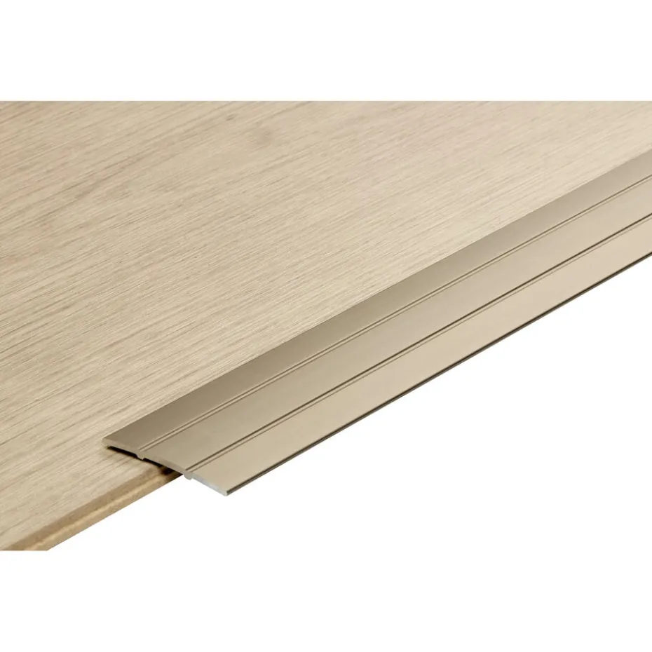 Dilatatieprofiel Staal Rvs 100 Cm