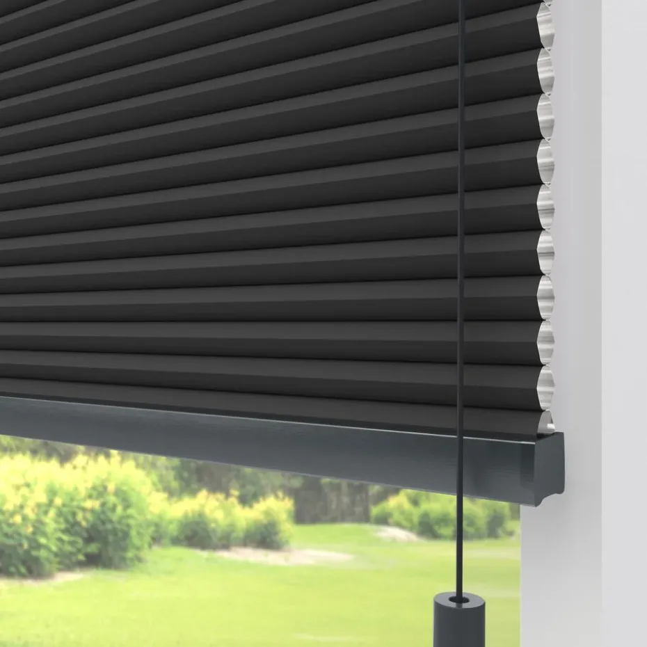 Fenstr Dubbel Plissé Thirza Zwart Verduisterend