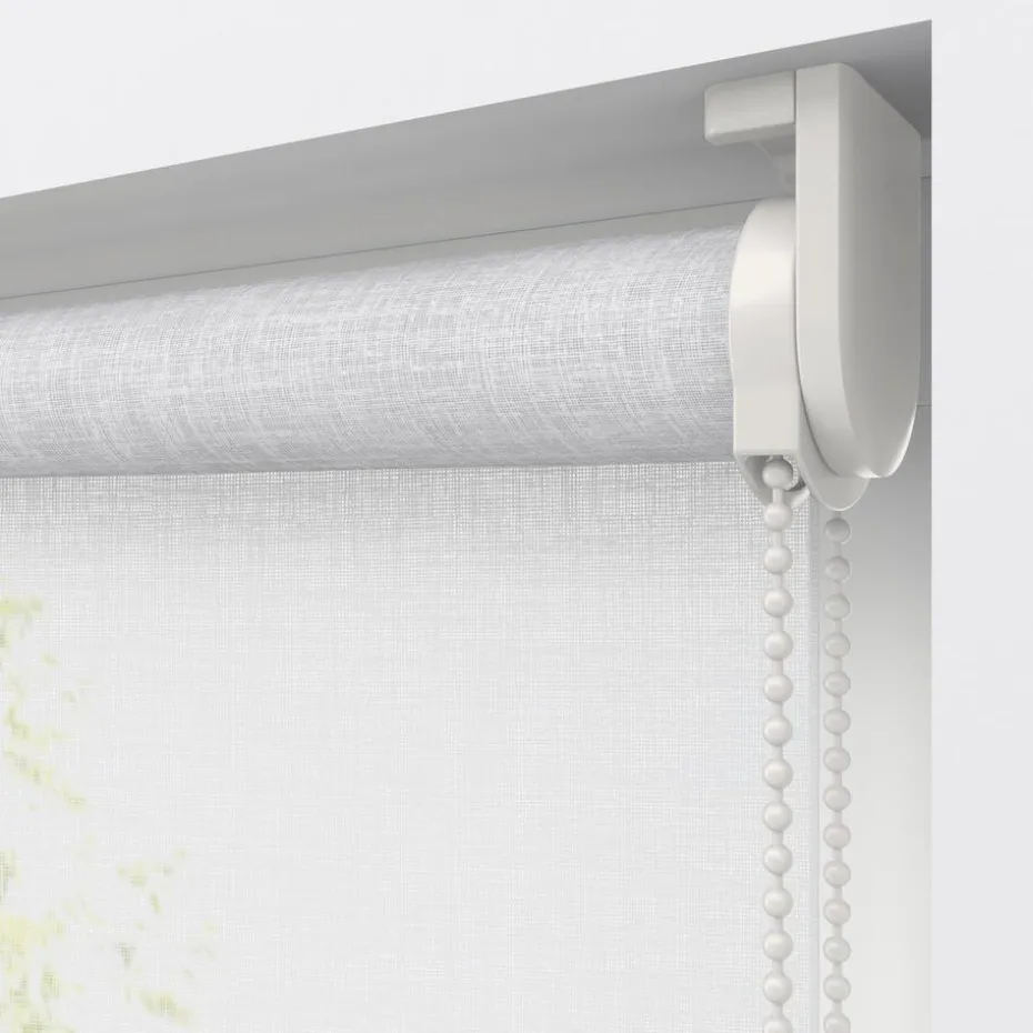 Fenstr Rolgordijn Febe Wit Transparant