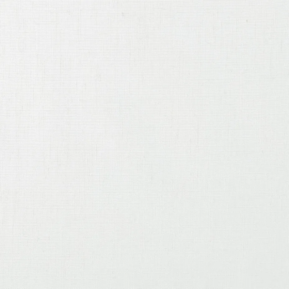 Inbetween Dennis Wit