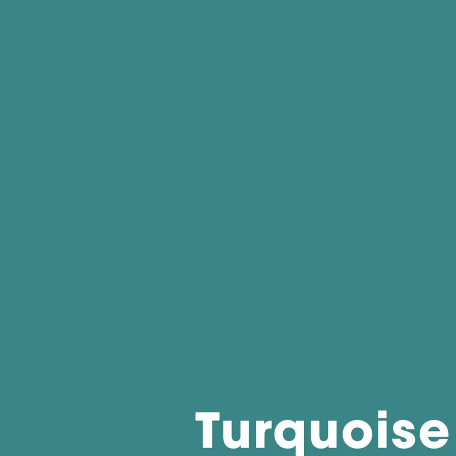 Muurverf Mat Turquoise 1 L
