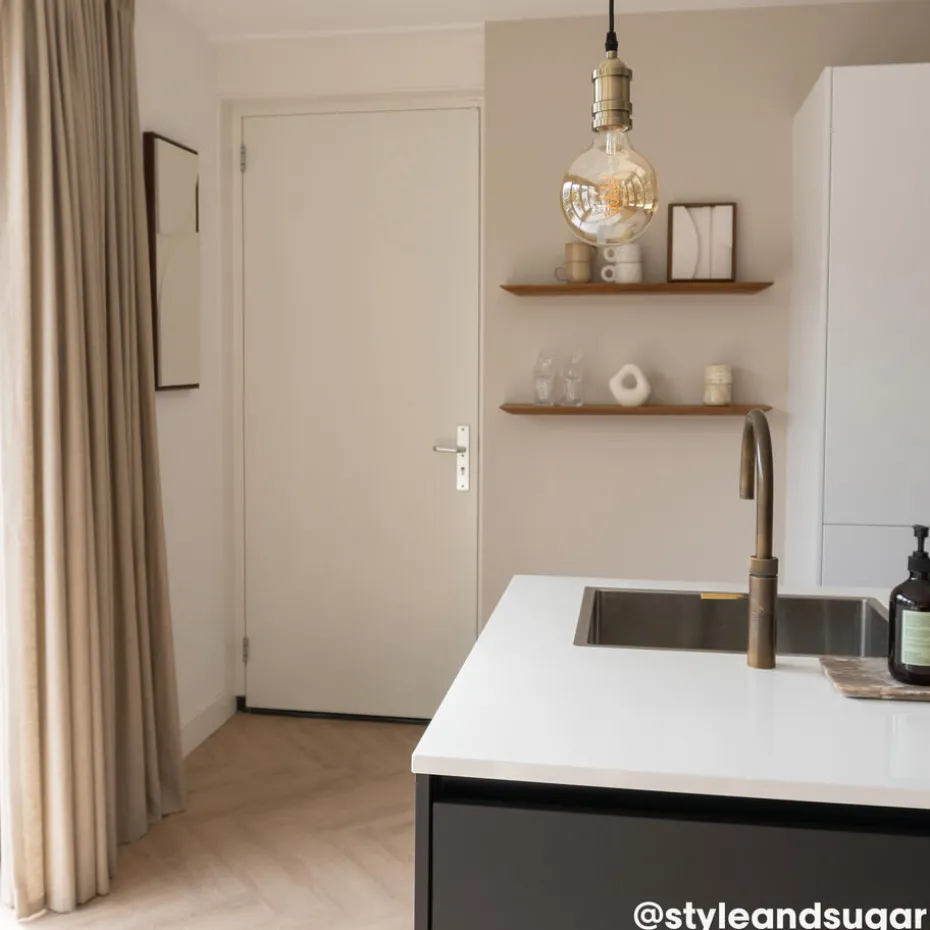 Muurverf Professional Biscuit 1 L