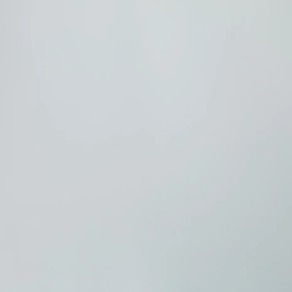 Plakfolie Mat Transparant XL