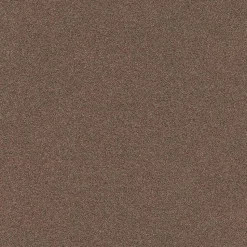 Tapijt Cheyenne Bruin