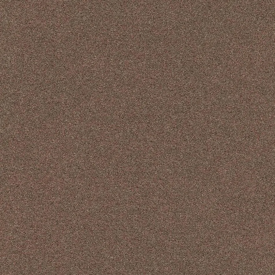 Tapijt Cheyenne Bruin