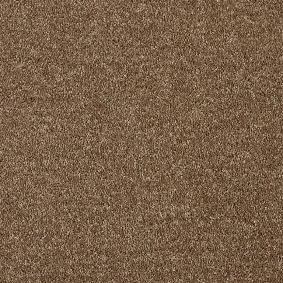 Tapijt Comfrey Bruin