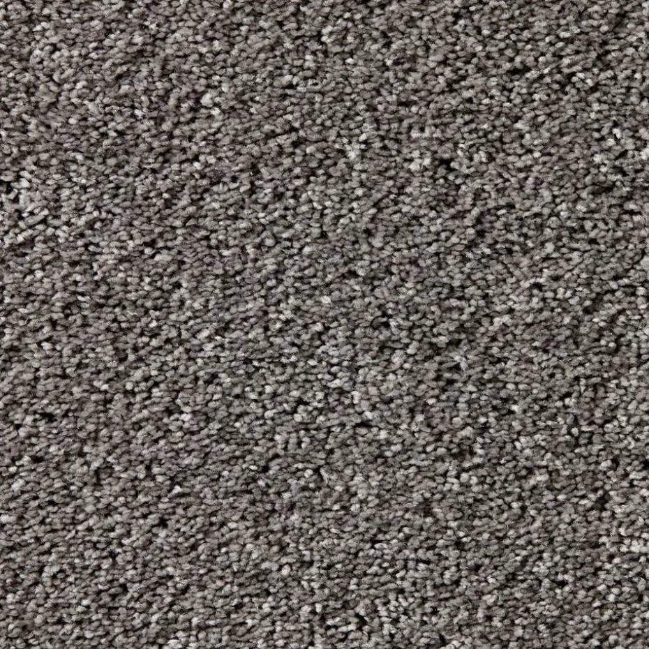 Tapijt Leetsdale Grijs