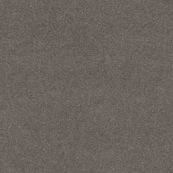 Tapijt Leetsdale Grijs